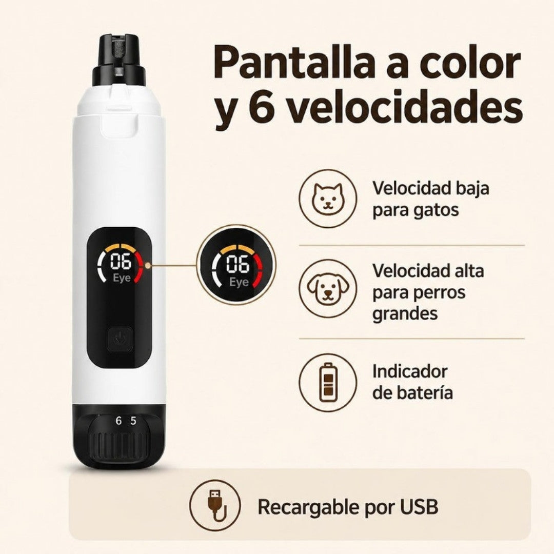 Pantalla a color y 6 velocidades