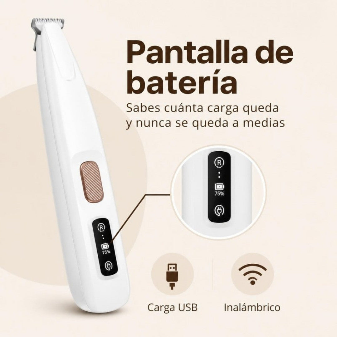 Pantalla de batería